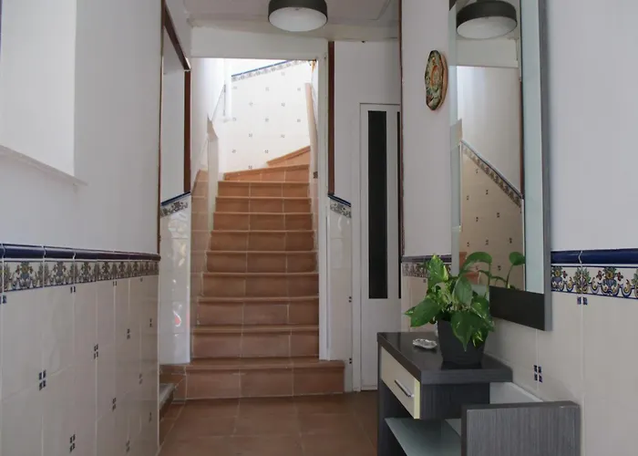 Vut El Risco Amavida